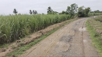 30 Acre Agricultural/Farm Land for Sale in Tamil Nadu