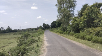 3.5 Acre Agricultural/Farm Land for Sale in Tamil Nadu