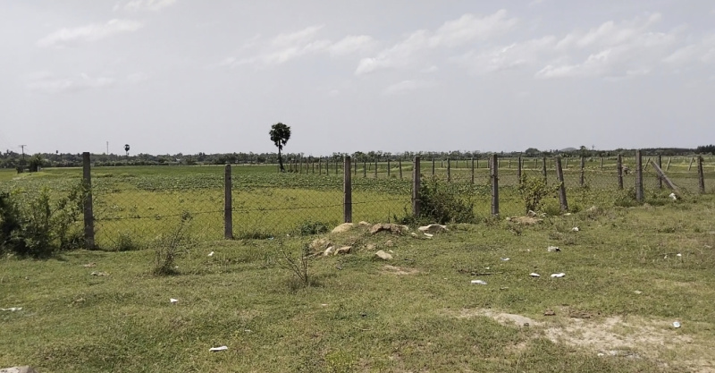 100 Acre Agricultural/Farm Land for Sale in Tamil Nadu