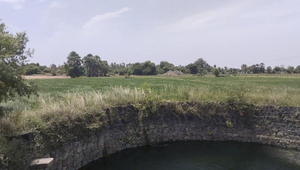 5 Acre Agricultural/Farm Land for Sale in Tamil Nadu