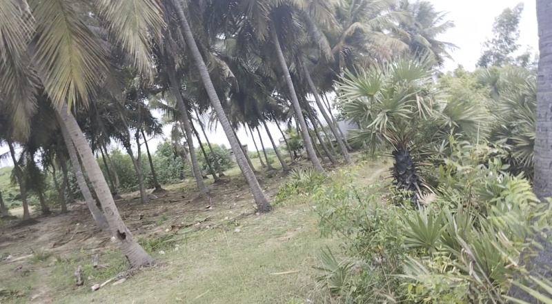 17 Acre Agricultural/Farm Land for Sale in Marakkanam, Villupuram