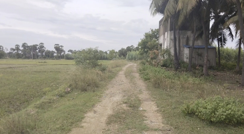 17 Acre Agricultural/Farm Land for Sale in Marakkanam, Villupuram