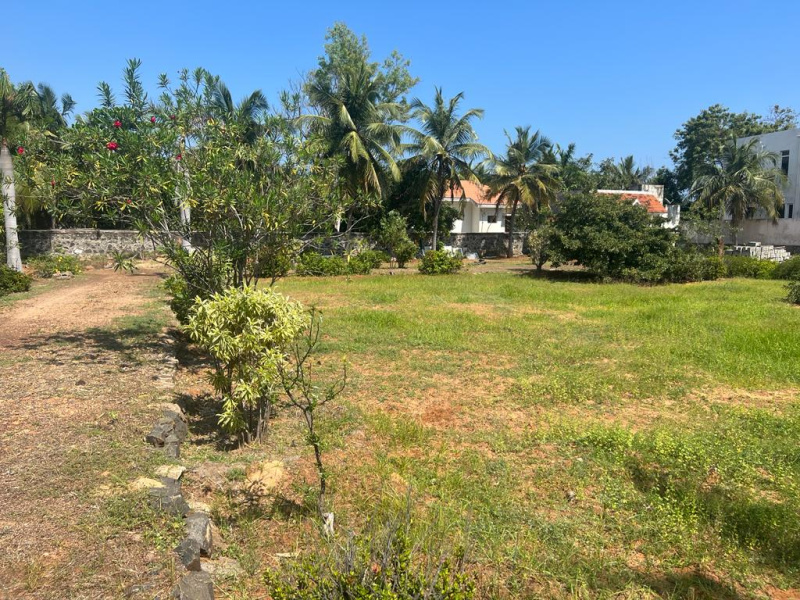 1 Acre Residential Plot for Sale in Tamil Nadu