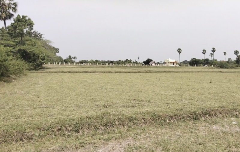 2.80 Acre Agricultural/Farm Land for Sale in Tamil Nadu