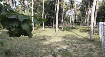 Property for sale in Panayur, Chennai