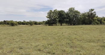 2 Acre Agricultural/Farm Land for Sale in Chennai