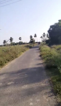 8 Acre Agricultural/Farm Land for Sale in Chennai