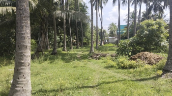 1.75 Acre Agricultural/Farm Land for Sale in Chennai
