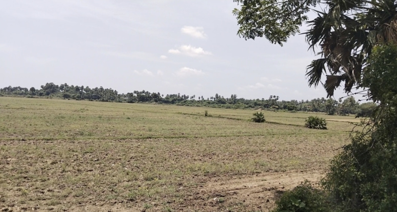 27 Acre Agricultural/Farm Land for Sale in Chennai