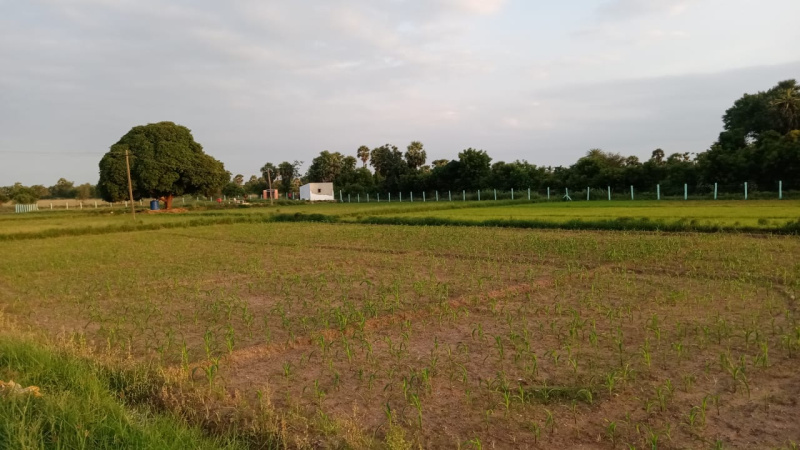 6 Acre Agricultural/Farm Land for Sale in Tindivanam, Villupuram