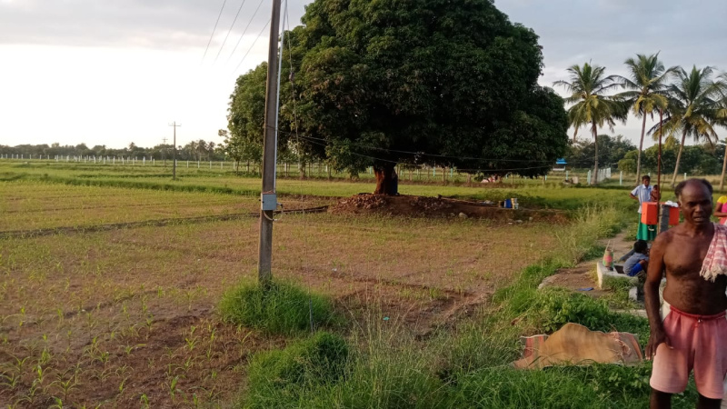6 Acre Agricultural/Farm Land for Sale in Tindivanam, Villupuram