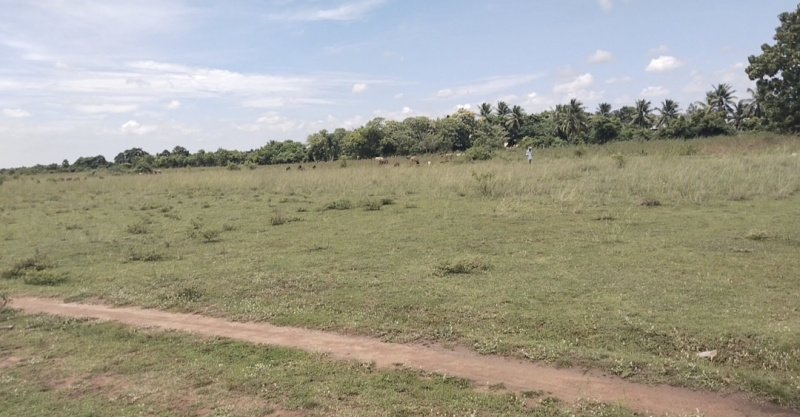 16 Acre Agricultural/Farm Land for Sale in Chennai