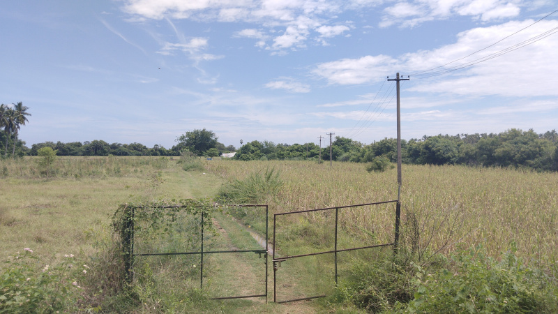 10 Acre Agricultural/Farm Land for Sale in Chennai