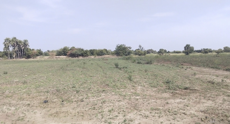 2 Acre Agricultural/Farm Land for Sale in Koovathur, Kanchipuram