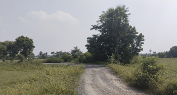 2.80 Acre Agricultural/Farm Land for Sale in Acharapakkam, Chennai