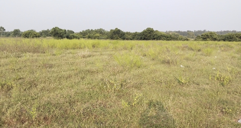6 Acre Agricultural/Farm Land for Sale in Marakkanam, Chennai