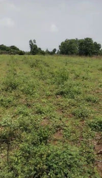 4.5 Acre Agricultural/Farm Land for Sale in Selaiyur Madambakkam, Chennai