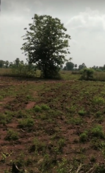 10.5 Acre Agricultural/Farm Land for Sale in Anna Nagar, Chennai