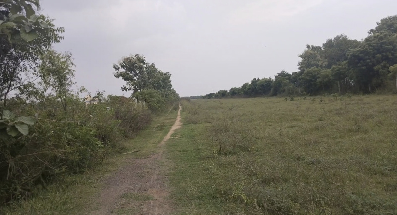 38 Acre Agricultural/Farm Land for Sale in Cheyyar, Kanchipuram