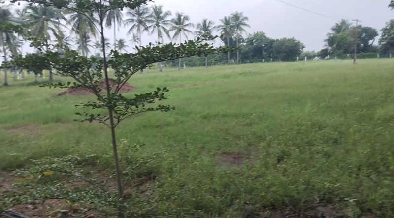 1 Acre Commercial Lands /Inst. Land for Sale in Madurantakam, Chennai