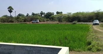 1.65 Acre Agricultural/Farm Land for Sale in Acharapakkam, Chengalpattu