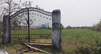 35 Cent Agricultural/Farm Land for Sale in Chengalpet, Chennai