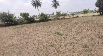 10 Acre Agricultural/Farm Land for Sale in Tiruvenkadam Nagar, Chennai