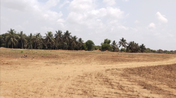 10 Acre Agricultural/Farm Land for Sale in Kulathur, Chennai