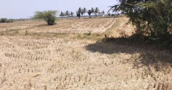 80 Cent Agricultural/Farm Land for Sale in Kovur, Chennai