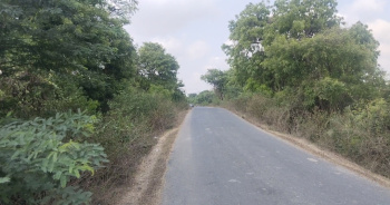 3.5 Acre Agricultural/Farm Land for Sale in Tindivanam, Chennai