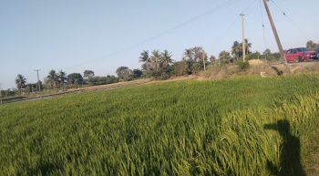 3 Acre Agricultural/Farm Land for Sale in Acharapakkam, Chengalpattu
