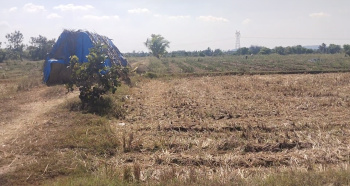 4 Acre Agricultural/Farm Land for Sale in Acharapakkam, Chengalpattu