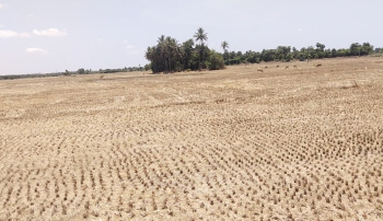 11.50 Acre Agricultural/Farm Land for Sale in Kuvathur, Kanchipuram