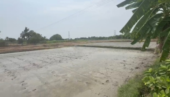 Property for sale in Uthiramerur, Kanchipuram