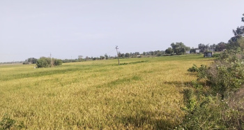 4.72 Acre Agricultural/Farm Land for Sale in Manapakkam, Chennai