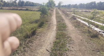 9 Acre Agricultural/Farm Land for Sale in Vedachalam Nagar, Chengalpattu