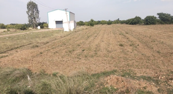 3.75 Acre Agricultural/Farm Land for Sale in Marakkanam, Villupuram