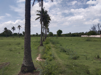 15 Acre Agricultural/Farm Land for Sale in Marakkanam, Villupuram