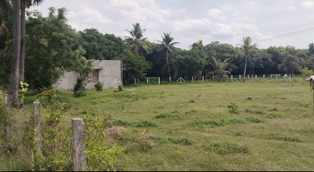 80 Cent Agricultural/Farm Land for Sale in Acharapakkam, Chengalpattu