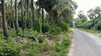 50 Cent Agricultural/Farm Land for Sale in Kuvathur, Kanchipuram