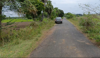 1.50 Acre Agricultural/Farm Land for Rent in Acharapakkam, Chengalpattu