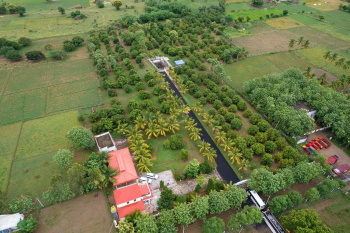 Farm House for Sale in Peranamallur, Tiruvannamalai (6 Acre)