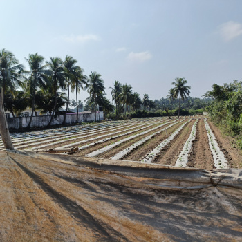 Commercial Lands /Inst. Land for Sale in Pudupattinam, Chengalpattu (1.8 Acre)