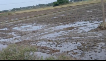 Agricultural/Farm Land for Sale in Maduranthakam, Chengalpattu (1.72 Acre)