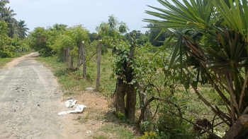 Residential Plot for Sale in Cheyyur, Chengalpattu (1.60 Acre)