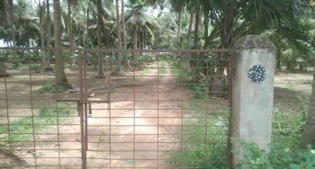 Agricultural/Farm Land for Sale in Marakkanam, Villupuram (1 Acre)