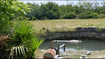 Agricultural/Farm Land for Sale in Maduranthakam, Chengalpattu (4.50 Acre)