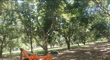 Agricultural/Farm Land for Sale in Cheyyur, Chengalpattu (25 Acre)