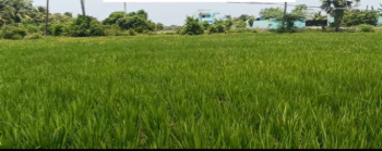 Property for sale in Alapakkam, Chengalpattu