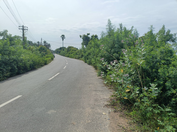 Agricultural/Farm Land for Sale in Pudupattinam, Chengalpattu (57 Cent)